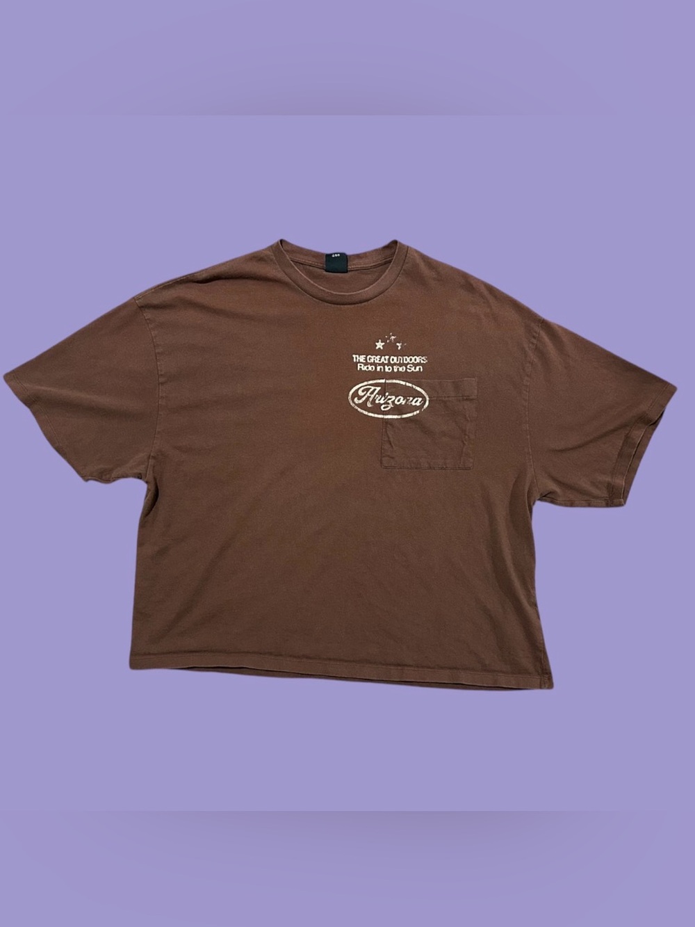 Boxy Fit Cropped Urban Outfitters Brown Arizona Graphic Oversized Pocket Tee XL